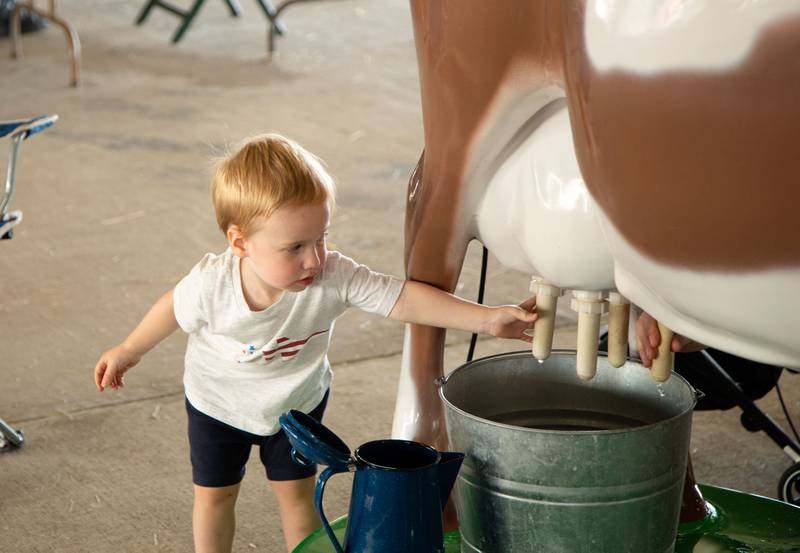 Benedict Devane, 2, of Downers Grove milks a fake cow during the DuPage County Fair at the DuPage Event Center & Fairgrounds on Saturday, July 30, 2022.