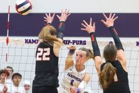 Hampshire’s season ends with 4A sectional championship loss to Libertyville