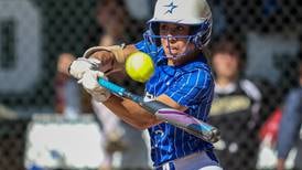 Softball: 2023 Kane County Chronicle All-Area team