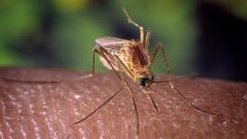 Will County resident is 1st human death from West Nile virus in Illinois
