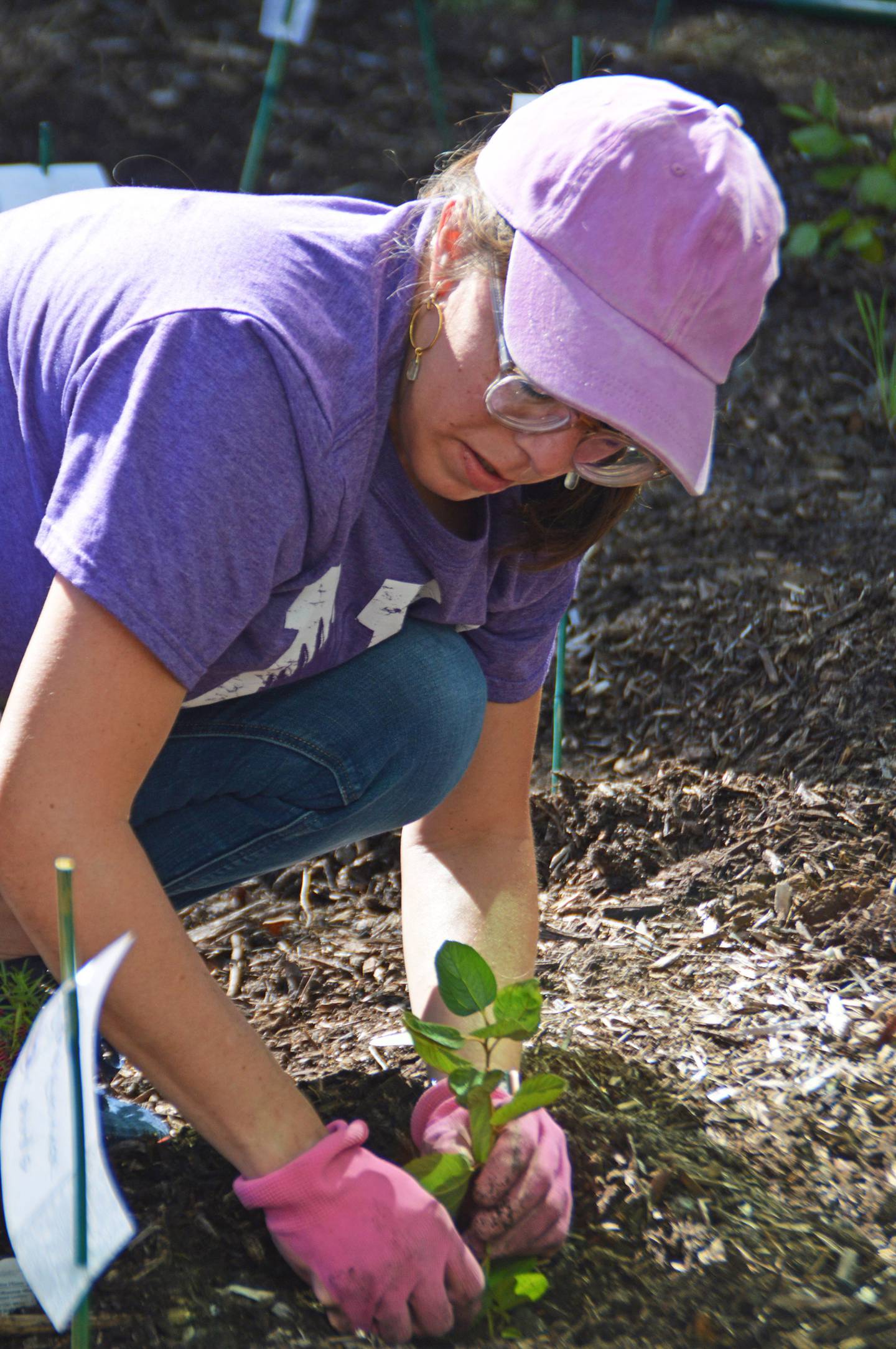 Jayna Leipart Guttilla packs soil around a seedling. The plot will bloom with native wildflowers and grasses next summer.