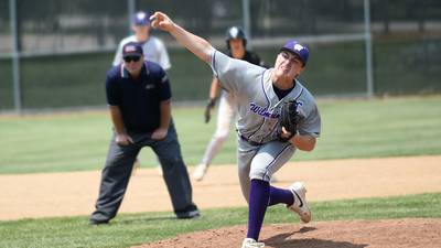 All-Illinois Central Eight Conference baseball, softball teams