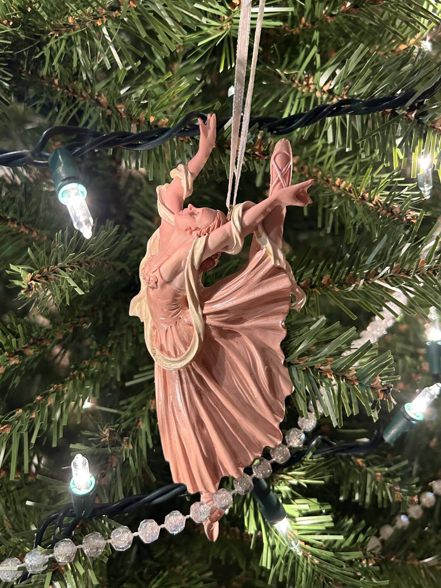 An ornament shared by Diane and Doug Breunlin
