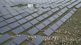 China races to build world’s largest solar farm to meet emissions targets