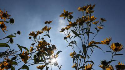 560-acre DeKalb data center proposal ‘threatens’ Afton Forest Preserve, agency says