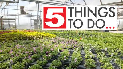 5 things to do in DeKalb County: Plant sales, job fair, Walk a Mile