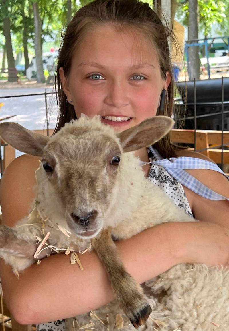 4-H member Abigail Munar of Plano snuggles with one of her lambs while cleaning pens at the Kendall County Fairgrounds.