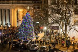 Joliet chooses first Christmas tree for new City Square