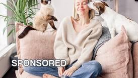 Breathe Easy: How HVAC Maintenance Can Improve Your Indoor Air Quality