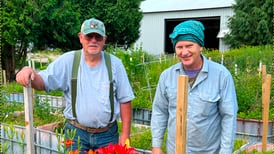 Fulton Historical Society will visit native habitat restoration site March 15, public invited to attend