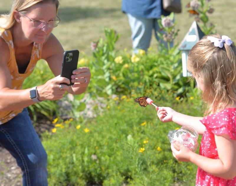 Jaci Weinger, of Polo, takes a photo of her daughter Joslyn, 4, as she lets a monarch butterfly sit on a popsicle during the Serenity Home & Hospice Memorial Butterfly Release on Saturday, July 8, 2023, in Oregon. Joslyn's butterfly was in memory of her grandfather Kurt Weinger and great-grandmother Donna.