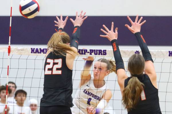 Hampshire’s season ends with 4A sectional championship loss to Libertyville