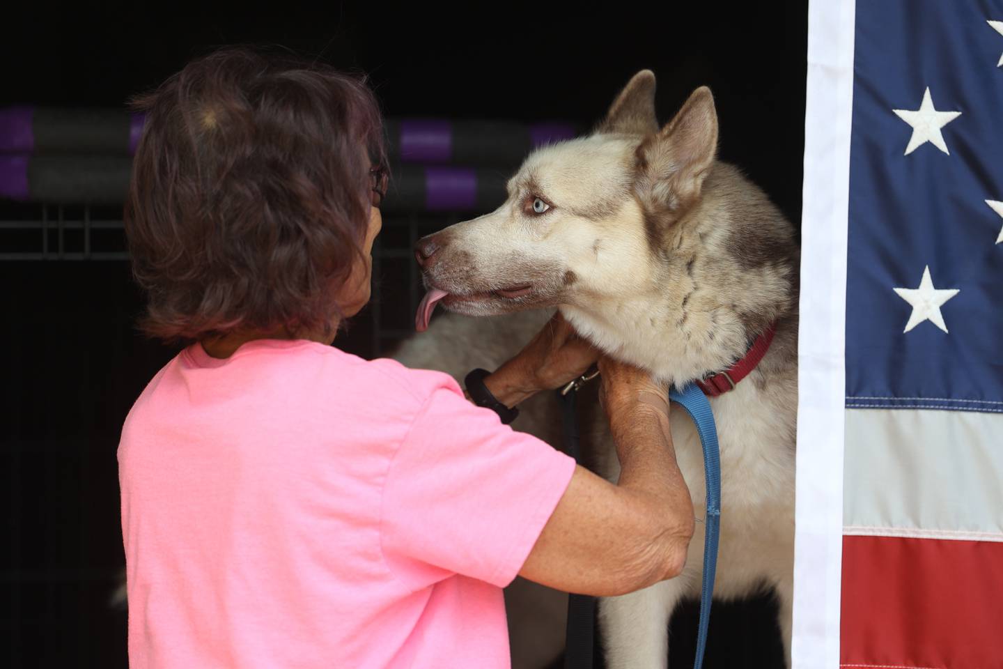 Cutter, a Siberian Husky, believed to be around 4-years old gives Linda Gondek a kiss on Thursday, Sept. 14, in Lockport