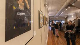 The Next Picture Show in Dixon hosts its first student art show