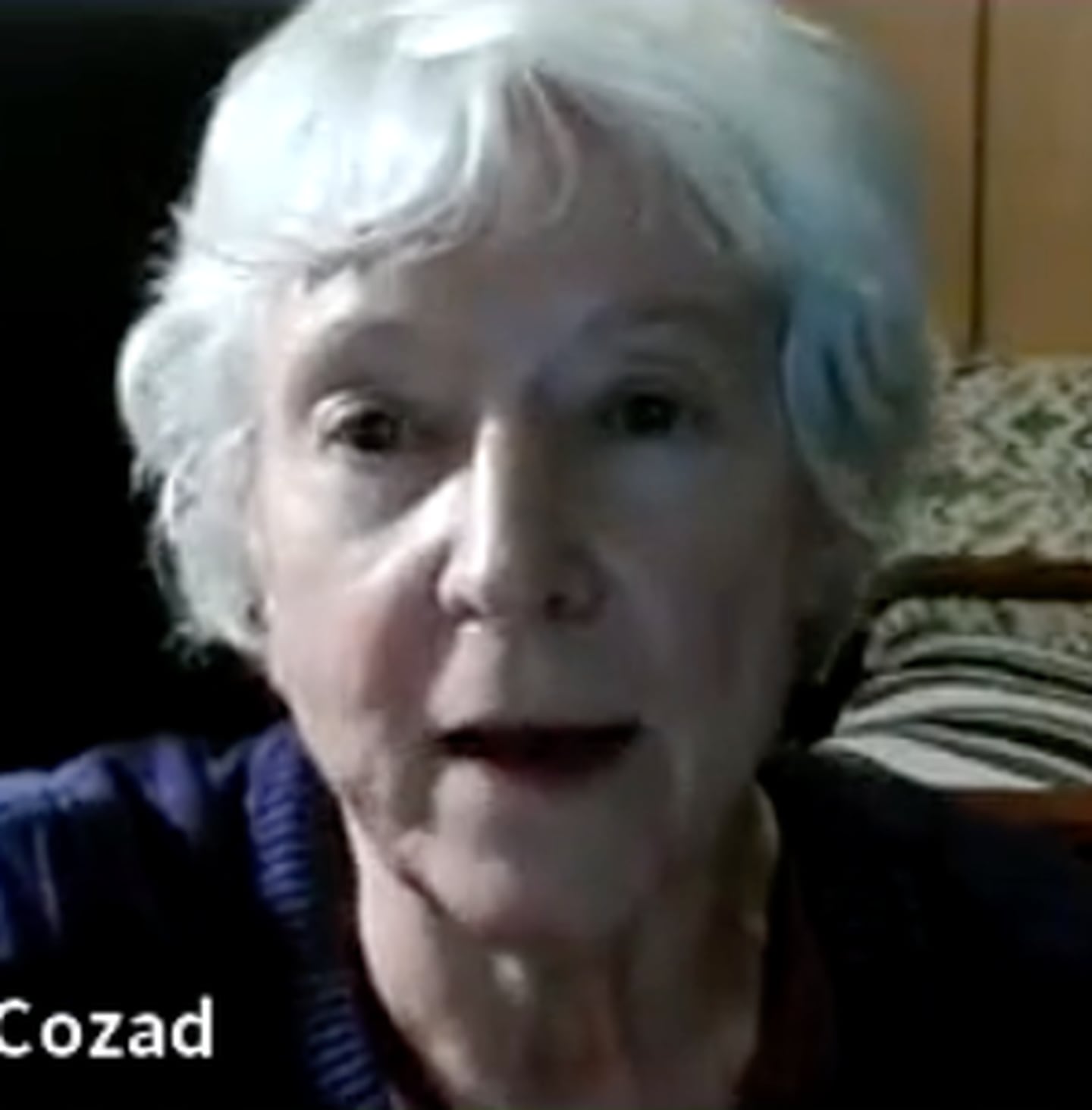 Democrat incumbent Mary Lee Cozad is running to represent District 10 on the DeKalb County Board in the Nov. 8 General Election. Cozad participated in a virtual candidate forum Thursday, Oct. 13, 2022 hosted by the DeKalb County League of Women Voters, WNIJ and the DeKalb Public Library. (Screenshot by Shaw Local News Network)