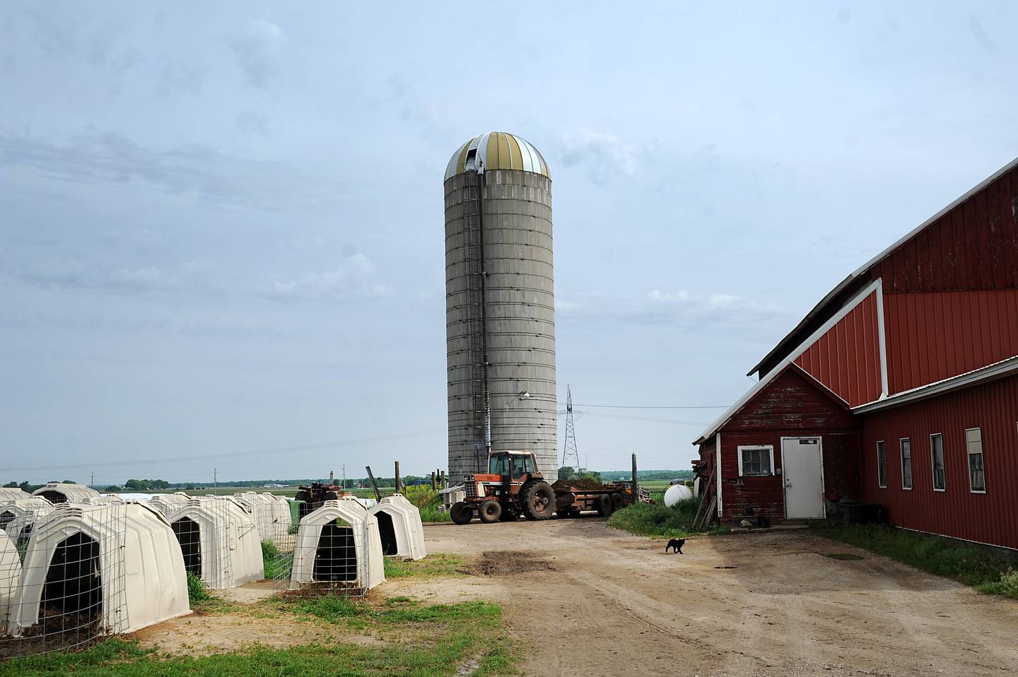 Manure is moved Wednesday, June 1, 2022, on the Ziller family dairy farm, 13704 Adamson Road in Huntley. The farm is one of about 20 dairy farms left in McHenry County.
