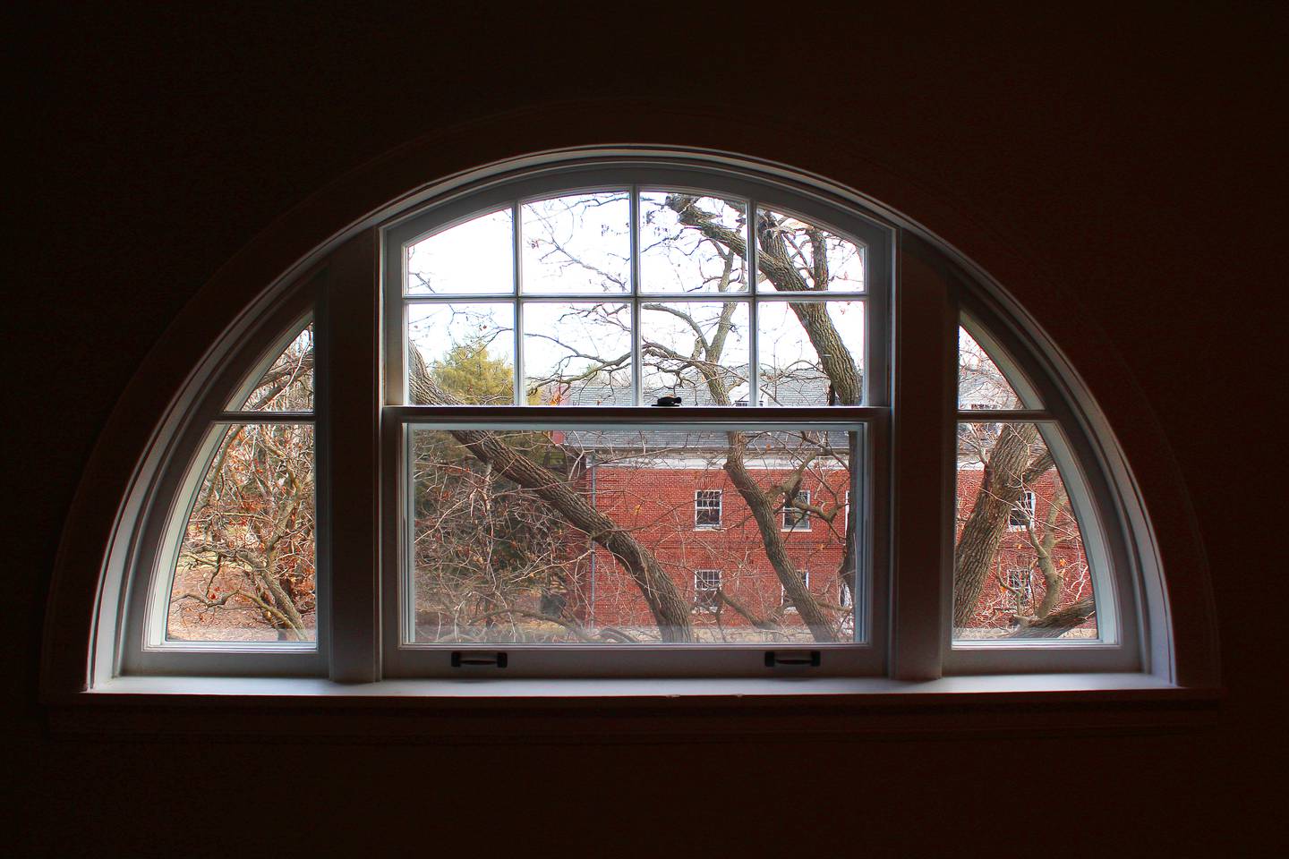 Looking out from an apartment window at Hostetter Hall at Shimer Square in Mount Carroll.