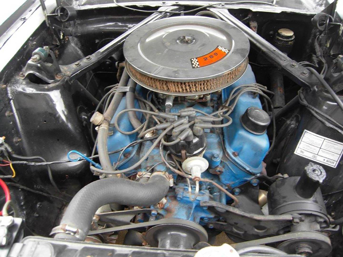 Photos by Rudy Host, Jr. - 1966 Ford Mustang Engine