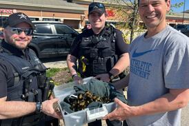 Lucky ducks: Algonquin officers rescue ducklings from sewer drain 