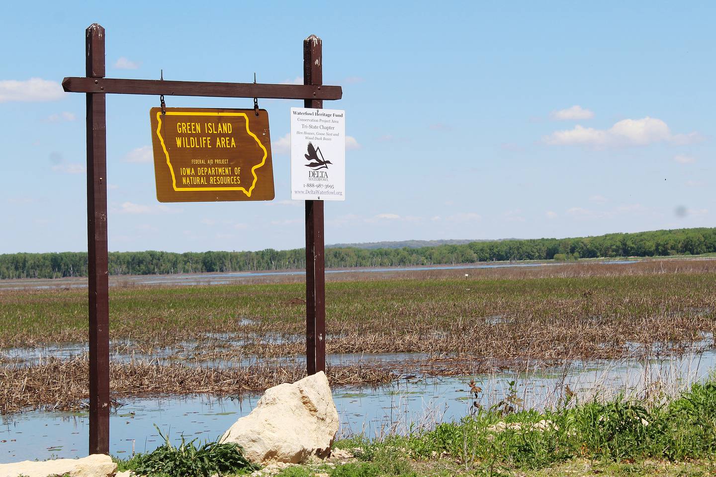 The 4,000-acre Green Island State Wildlife Management Area is located between Sabula and Bellevue, and is accessible via the small town of Green Island (itself comprising of just a few houses and a church). The area consists of several islands, lakes and sloughs away from the highway traffic running on top of the bluff.