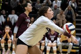 Photos: Lockport vs. Waubonsie Valley, 4A sectional varsity volleyball