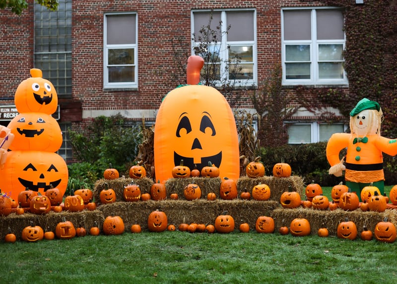 Glen Ellyn Park District invites the community to participate in Pumpkins on Main, a festive display of jack-o-lanterns at the Main Street Recreation Center this Halloween season.