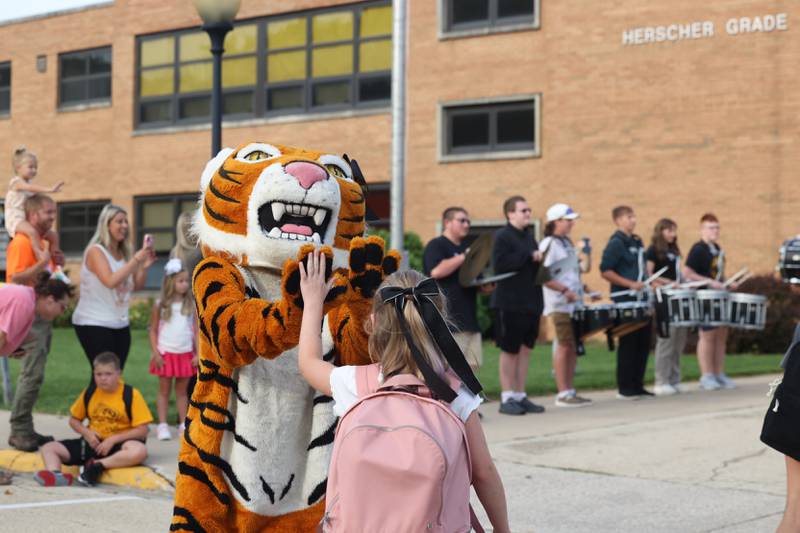 The Herscher Tigers mascot, embodied by administrative assistant Kathy Astrella, high fives a Herscher Intermediate School student as she arrives for the first day of school on Tuesday, Aug. 19, 2025.