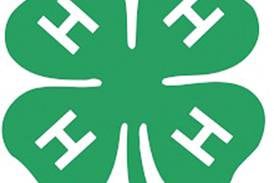 U of I Extensions to offer various 4-H summer library programs