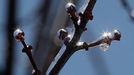 McHenry County closures and cancellations for Feb. 22 ice storm