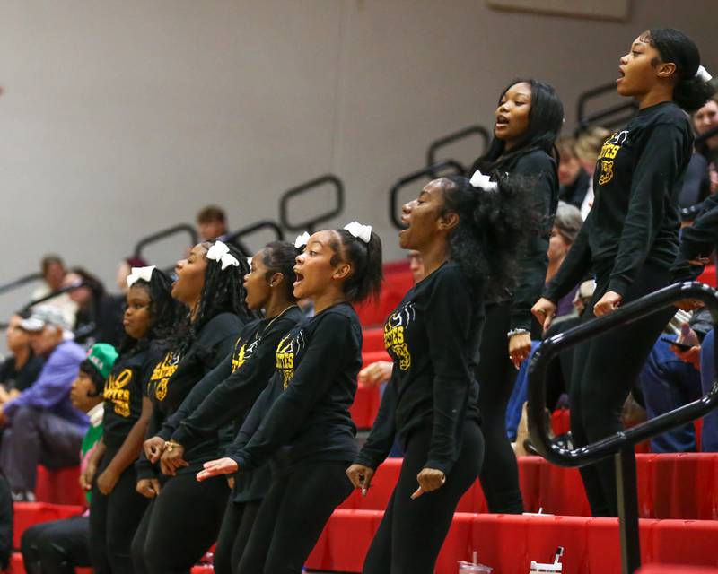 The Joliet West cheer section during Class 4A Bolingbrook Sectional semifinal match between Joliet West at Oswego.  Nov 5, 2024  in Bolingbrook.