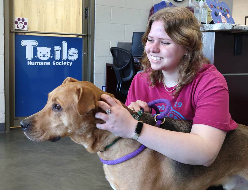 Kerina Evenson, events and marketing manager at Tails Humane Society, pets DJ who is available to be adopted, Wednesday, Feb. 11, 2026, at the shelter in DeKalb. Tails was presented with the Nonprofit Organization of the Year award by the DeKalb Chamber of Commerce.