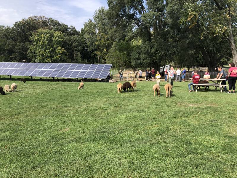 People enjoy the McHenry County Farm Stroll at Hephzibah Farms in Hebron Sunday.