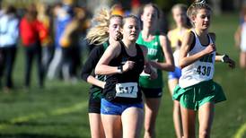 Girls Cross Country: Kane County Chronicle girls cross country preview capsules