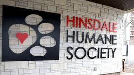 Hinsdale Humane Society plans Post Parade Party fundraiser