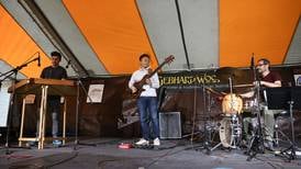 Gebhard Woods Dulcimer Festival returns to Goold Park on June 14, 15