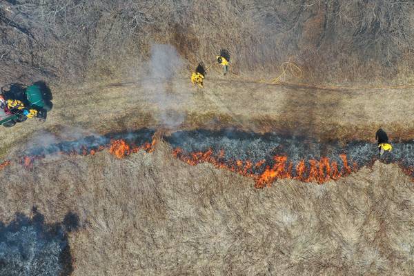 Photos: IDNR manages 300-acre prairie controlled burn near Oglesby