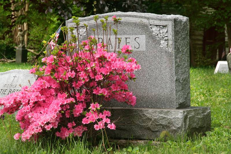 Jones Funeral Home - Remembering Mom this Mother’s Day