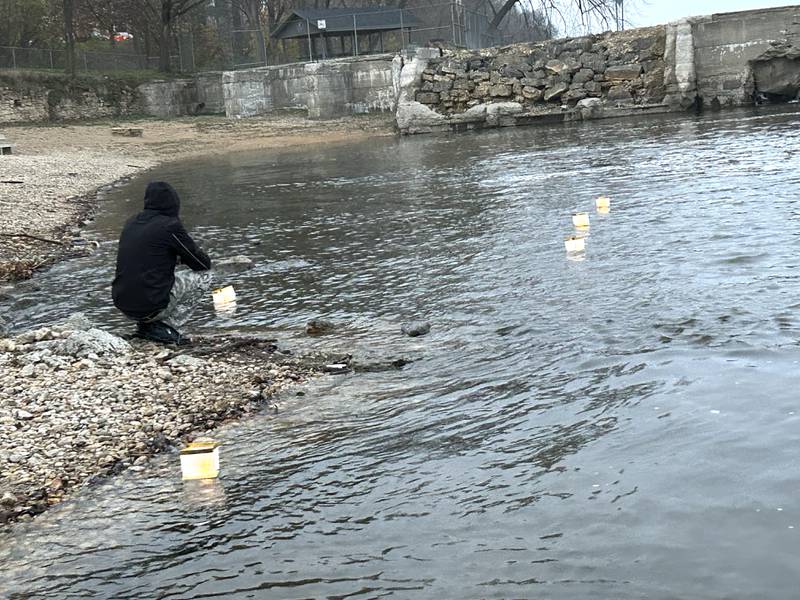 Lanterns float in the Rock River, below the Oregon dam, on Wednesday, Nov. 20, 2024, after being released by family and friends of Kent "Bud" Dearborn, 33, of Polo. Dearborn and James Swift, 64, of Forreston, died in 2019 when their boat capsized while fishing. Swift's body was later recovered from the river in Dixon, but Dearborn's remains have yet to be found.