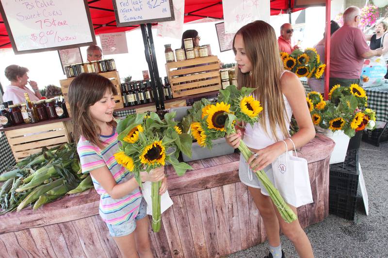 Kate Logan and Sophia Helfers, both 11, of Wauconda look at sunflowers featured at the Harms Farm produce stand at the Wauconda Farmers’ Market in downtown Wauconda.  The farmers’ market runs on Thursday afternoons from 4-7pm through September 29th.