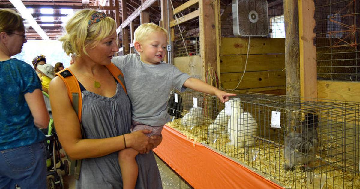 130th annual Sandwich Fair begins Wednesday Shaw Local