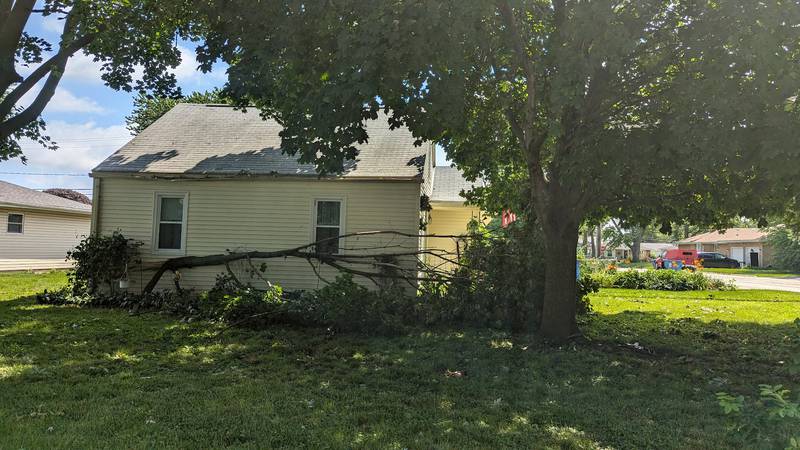 An uprooted tree leans against a house on Wilcox Street in Crest Hill, Tuesday, July 16, 2024, after Monday night's storm.