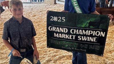 Ogle County 4-H Fair Swine Show winners named
