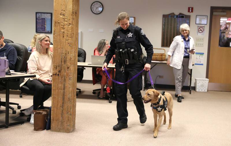 River, the Batavia Police Department’s new 11-month-old comfort dog, meets the public with her handler, Officer Liz Webb, before being sworn in on Monday, April 21, 2025 during a Batavia City Council meeting.