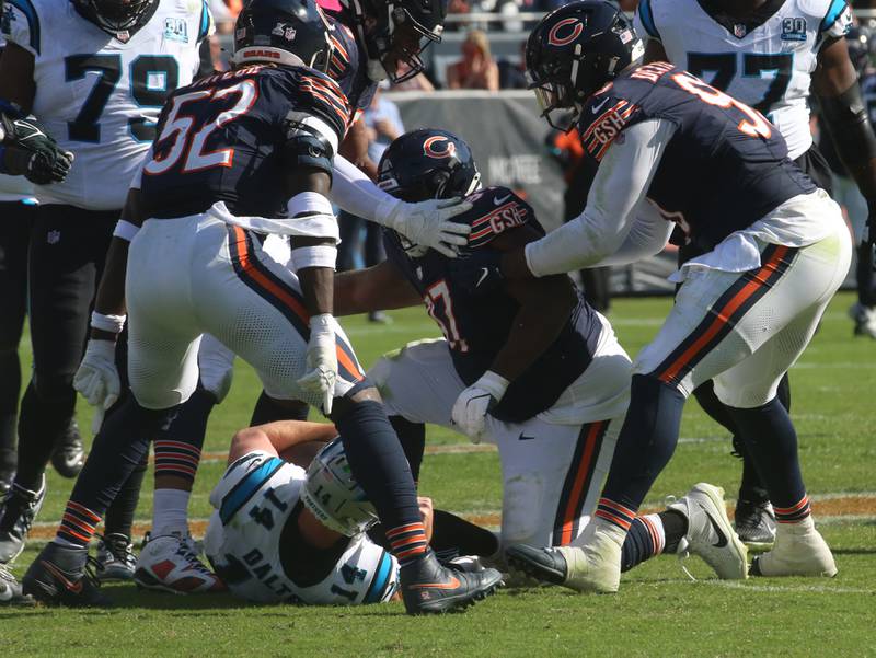 Chicago Bears defensive lineman Andrew Billings sacks Carolina Panthers quarterback Andy Dalton on Sunday, Oct. 6, 2024 at Soldier Field in Chicago.